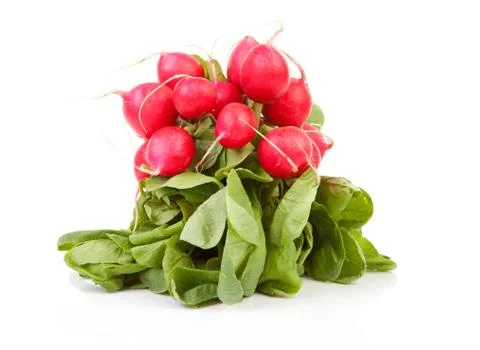 Bunch of fresh radish Foto stock
