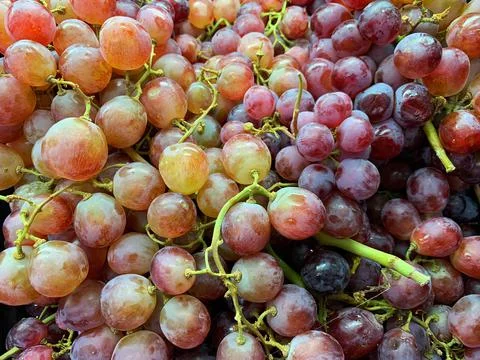 Bunch of fresh red grape fruit. Food concept Foto stock