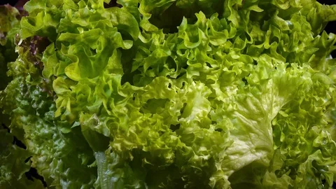 Bunch of fresh salads close up, rotating to the left on black background Stock Footage 78346928