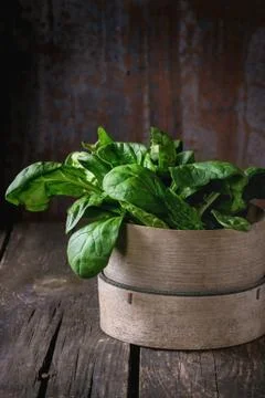 Bunch of fresh spinach Stock Photos