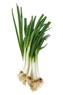 Bunch of fresh spring onion Stock Photos
