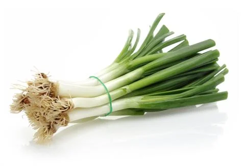 Bunch of fresh spring onion Stock Photos