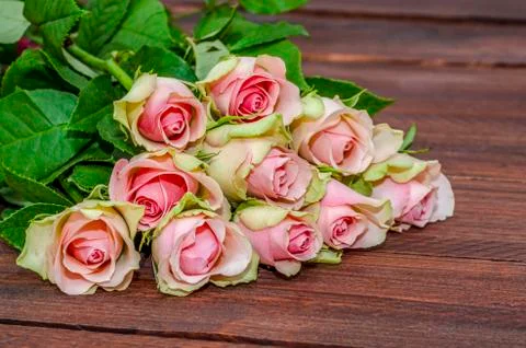 Bunch of fresh spring pink roses on old vintage wooden board, copy space Stock Photos