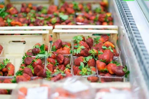 Bunch of fresh strawberry in plastic boxes in cool place in supermarket Stock Photos