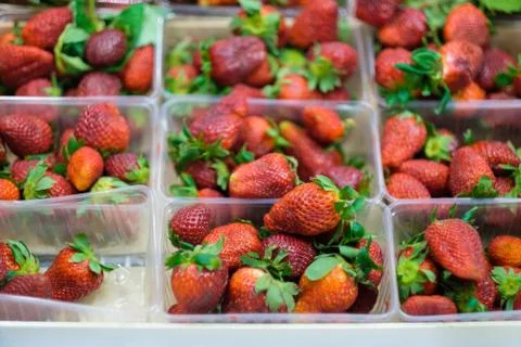 Bunch of fresh strawberry in plastic boxes in cool place in supermarket Stock Photos