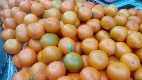 Bunch of fresh tangerines oranges on market. Stock Photos