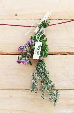 Bunch of fresh thyme with name label Stock Photos