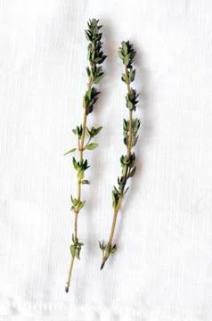 Bunch of fresh thyme Stock Photos