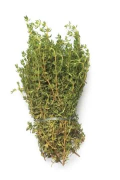 Bunch of Fresh Thyme Stock Photos
