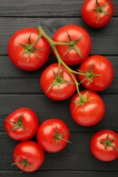 Bunch of fresh tomatoes on black background. Harvesting tomatoes. Space for.. Stock Photos