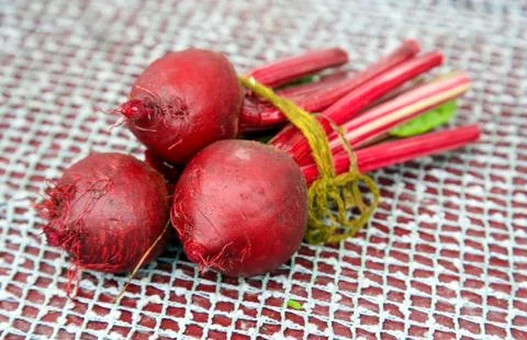A bunch of freshly cut beets on a table in a summer garden Foto stock
