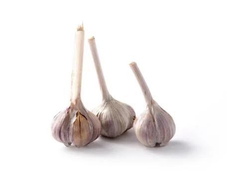 Bunch garlic isolated Stock Photos