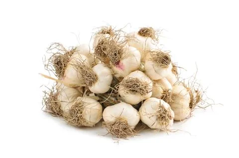 Bunch of garlic isolated on white background Stock Photos