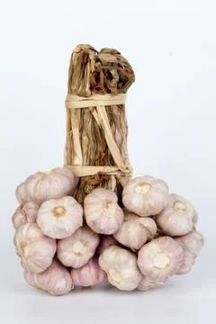 Bunch of garlic Stock Photos
