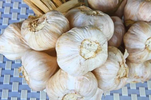 Bunch garlic Stock Photos