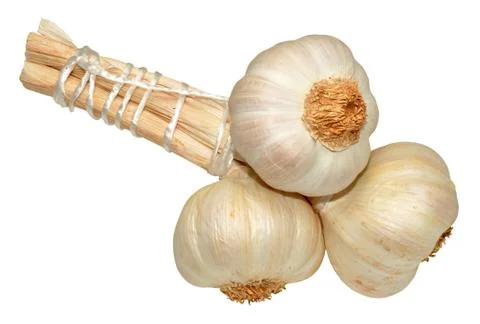Bunch Of Garlic Stock Photos