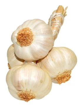 Bunch Of Garlic Stock Photos
