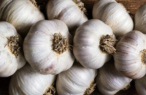 Bunch of garlic Stock Photos
