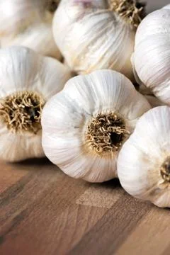 Bunch of garlic Stock Photos