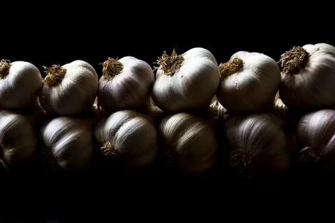 Bunch of garlic Foto stock