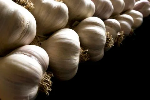 Bunch of garlic Stock Photos