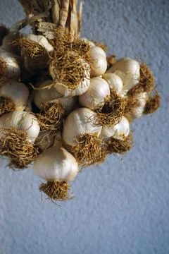 A bunch of garlic Foto stock