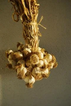 A bunch of garlic Foto stock