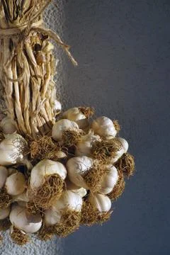 A bunch of garlic Foto stock
