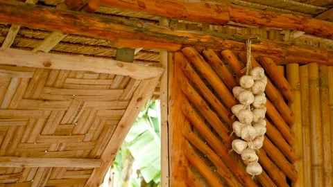 Bunch of garlic on wall. Bunch of dried garlic hanging on bamboo wall of Stock Footage 123915873
