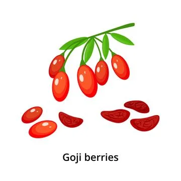 Bunch of goji berries Stock Illustration