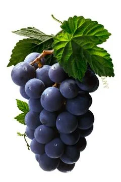 Bunch of grape with leaves, paths Stock Photos