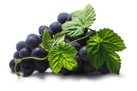 Bunch of grape with leaves, paths Stock Photos