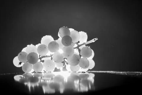 A bunch of grape lights isolated from behind forming a silhouette Stock Photos