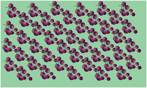 Bunch of grape make a line on green surface Stock Illustration