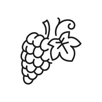 Bunch of grape on stem with leaf isolate line icon Stock Illustration