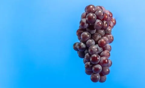 Bunch of grape (Vitis labrusca) of variant Niagara on blue background Stock Photos