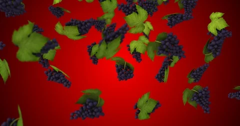 Bunch grapes falling Stock Footage 88359218