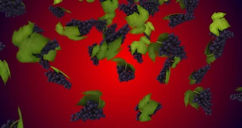 Bunch grapes falling Stock Footage 88359672
