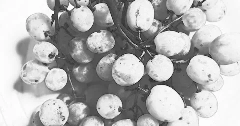 Bunch of grapes, fast rotating on white background, top view. Sketch black white 動画素材 281148812