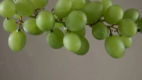 Bunch of grapes Stock Footage 197669885