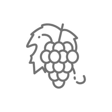 Bunch of grapes, fruit line icon. Stock-Illustration
