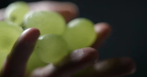 Bunch of grapes in hand slowmotion studio Stock Footage 137924433