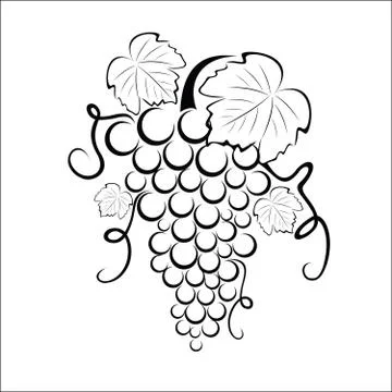 Bunch of grapes Stock Illustration