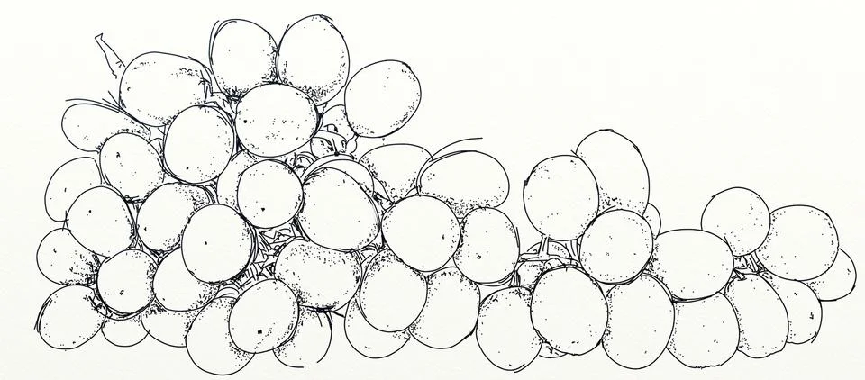 A bunch of grapes Stock Illustration
