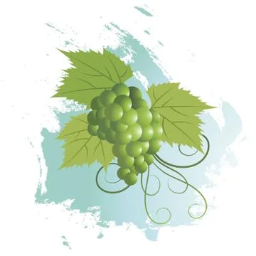 Bunch of grapes Stock Illustration