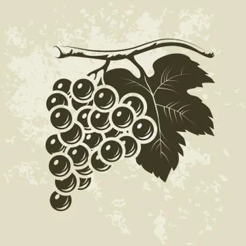 Bunch of grapes for label of wine Stock Illustration