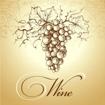 Bunch of grapes for label of wine Stock Illustration