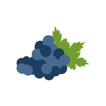 Bunch of grapes with leaf flat on white background. Vector illustration. Stock Illustration