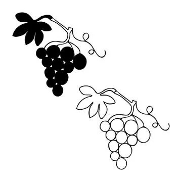 Bunch of grapes with leaf in two variation (eps) Stock Illustration