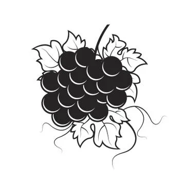 Bunch of grapes in outline Illustrazione stock